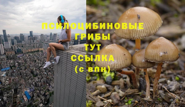 амф Гусиноозёрск