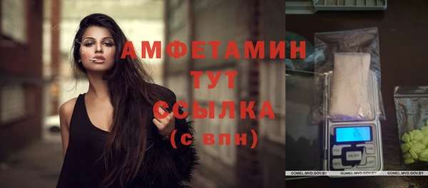 амф Гусиноозёрск
