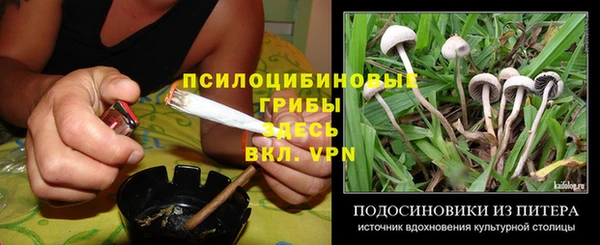 трава Дмитров