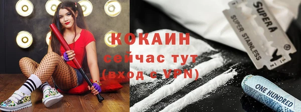 винт Гусев